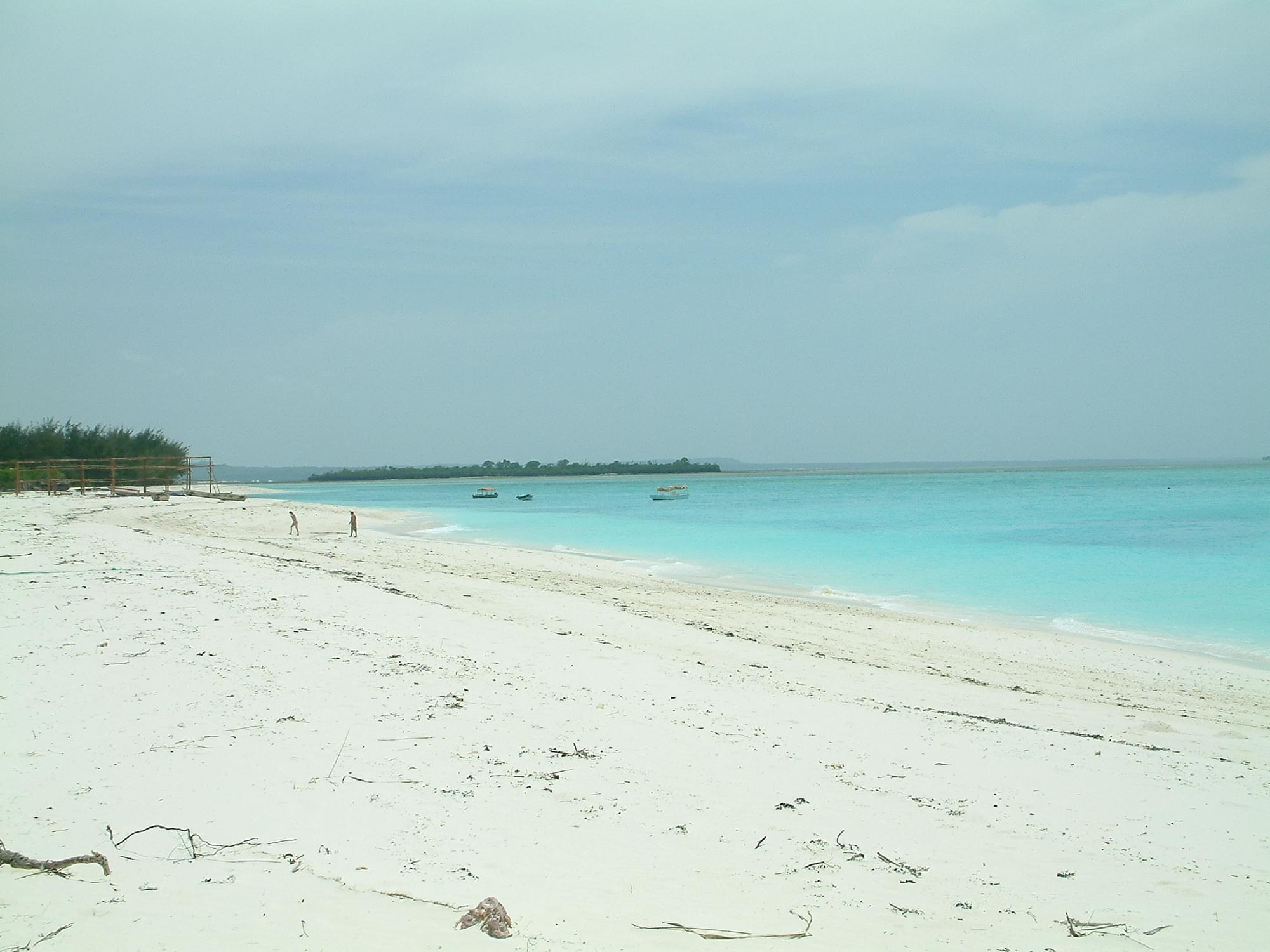 20040129   Zanzibar 252